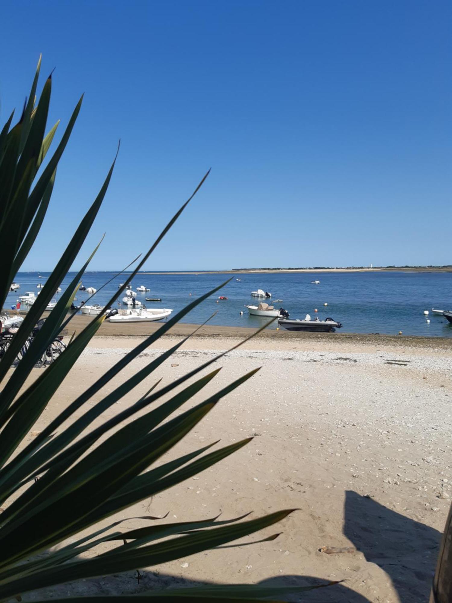 Maison De Vacances Entiere A 10 Mn De La Rochelle Dompierre-sur-Mer Eksteriør bilde
