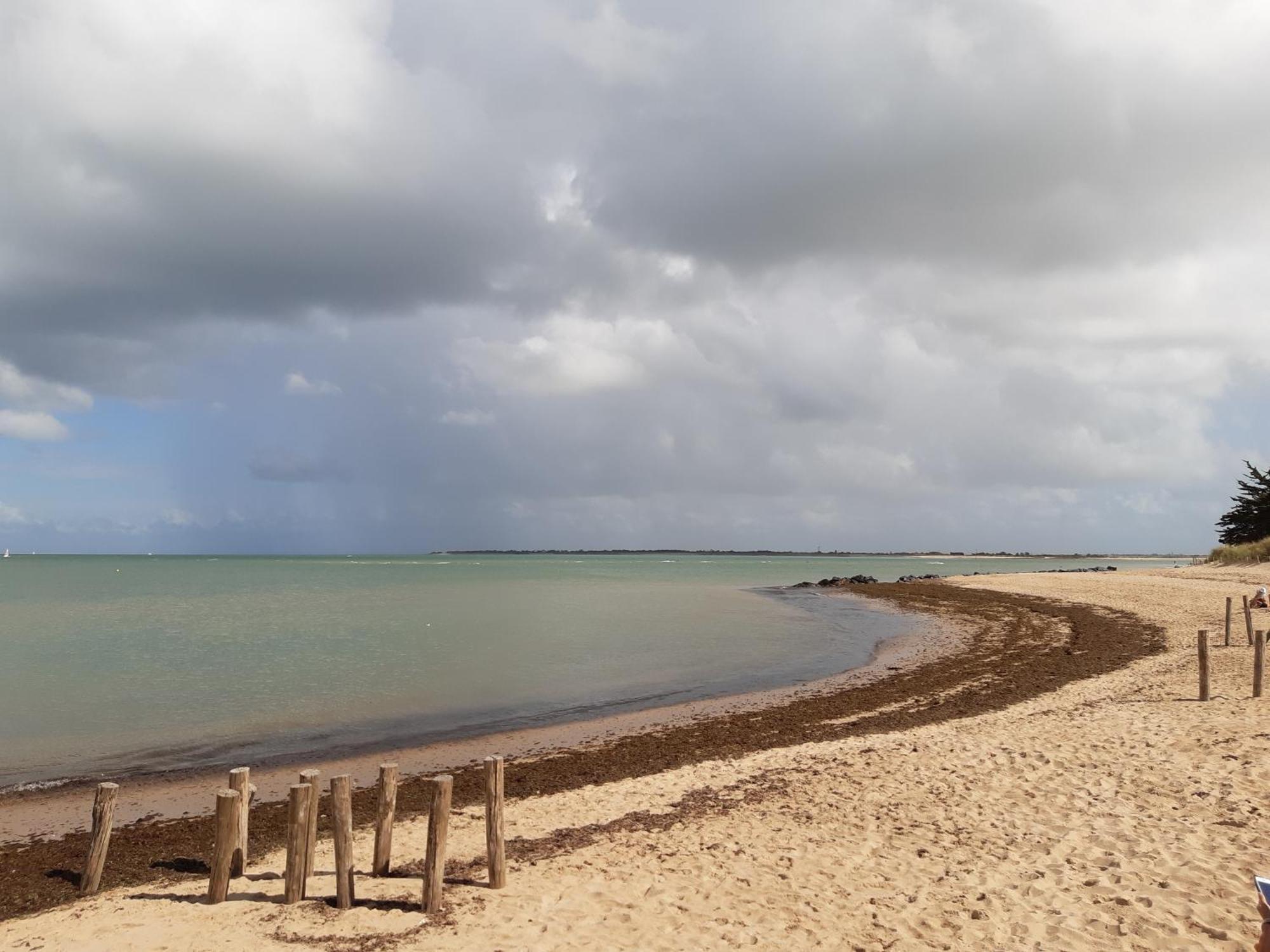 Maison De Vacances Entiere A 10 Mn De La Rochelle Dompierre-sur-Mer Eksteriør bilde